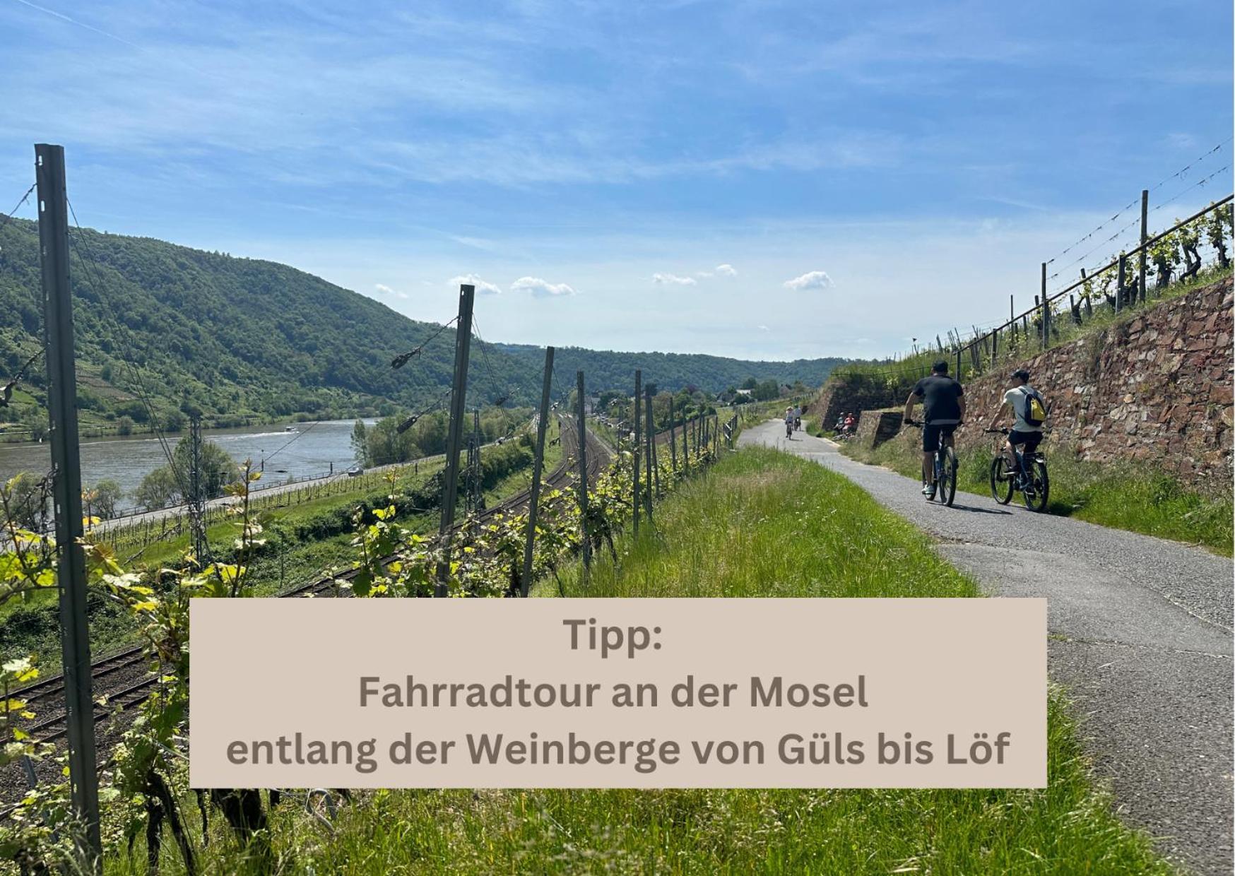 Apartment Relax - Fuer Familien, Stadtnah, Mit Parkplatz Koblenz (Rhineland-Palatinate)